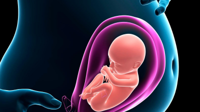 foetus-maman-enceinte